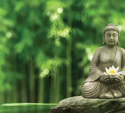 Garden of Stillness